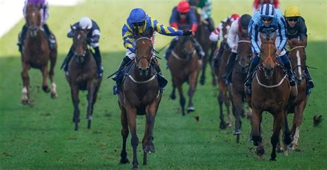 gold cup odds|ascot gold cup odds 2022.
